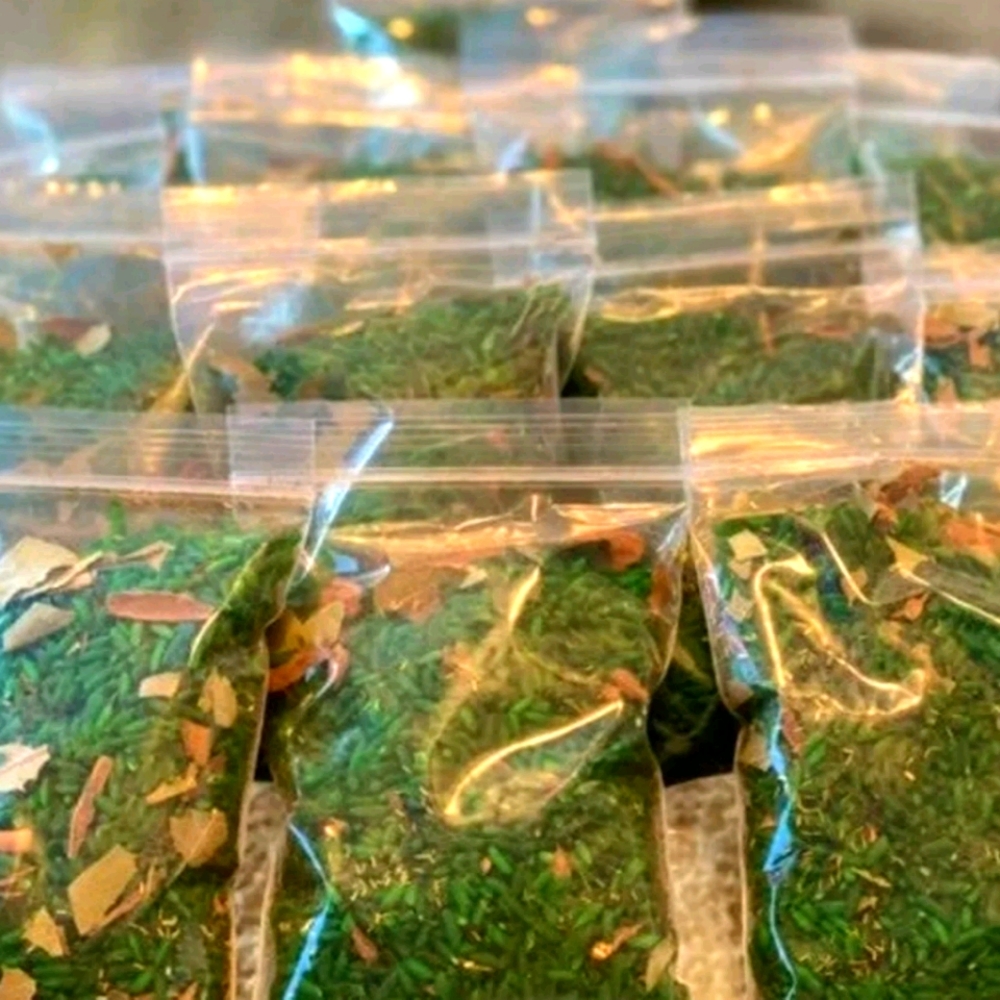 $♡LuckyMoneyGreenRice$♡